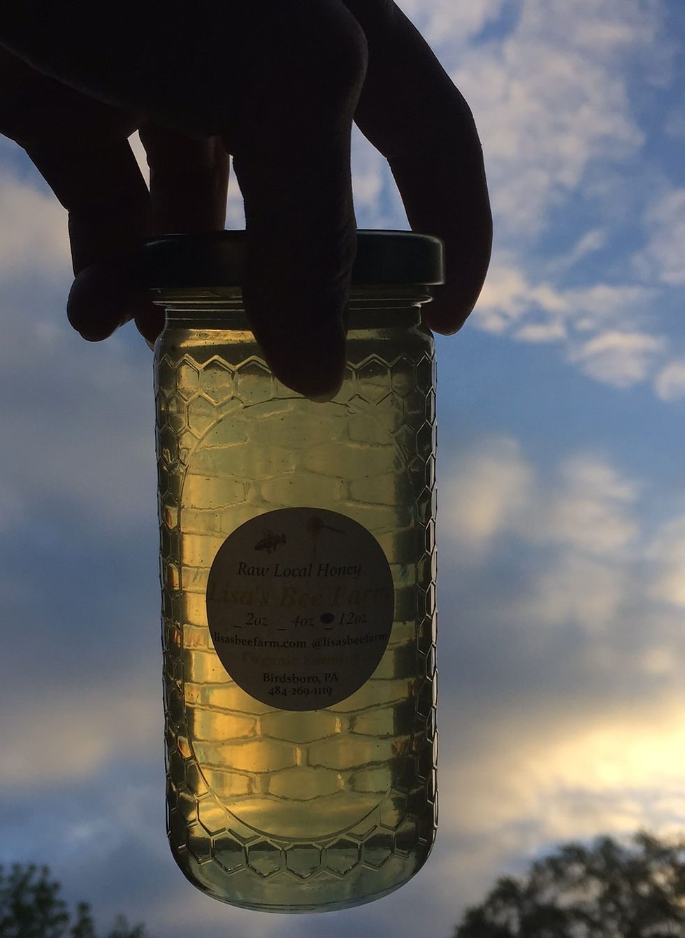 Thumbnail: 12oz Local Tulip Poplar Honey