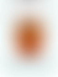 Fiber Foundations: the difference between mordants and tannins. 