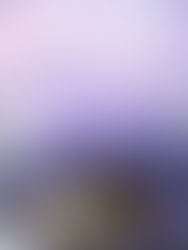 Imperial Purple and Holy Blue - Mollusk Dyes