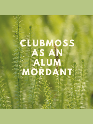 Using Clubmoss as an Alum Mordant