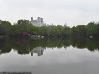 BeresfordScape.jpg