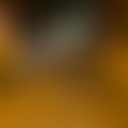 ¿Primer viaje a Japón?