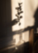 pexels-photo-6681867.jpeg