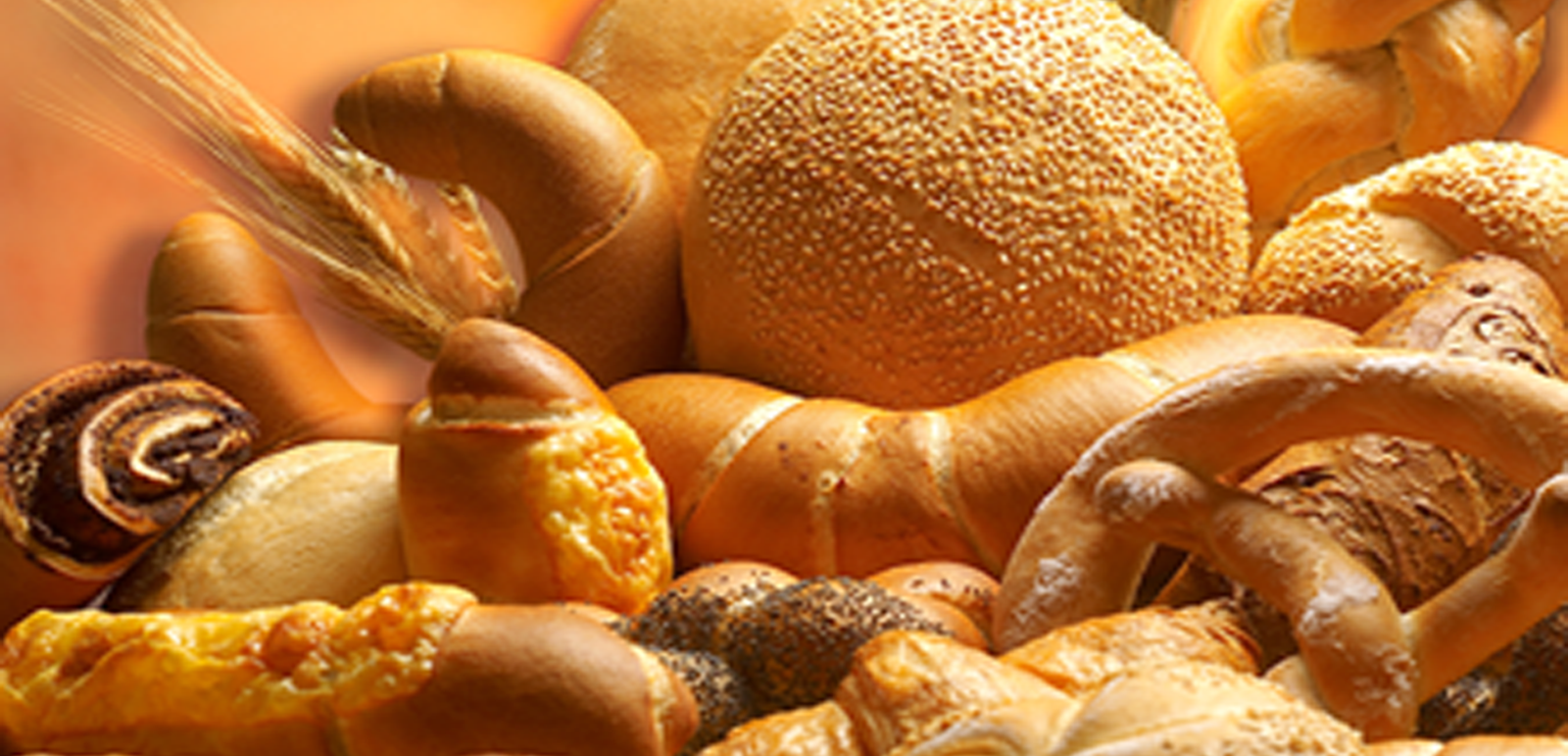 Bakery machine Srilanka