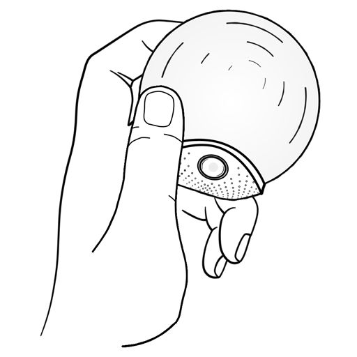 512x512.gif