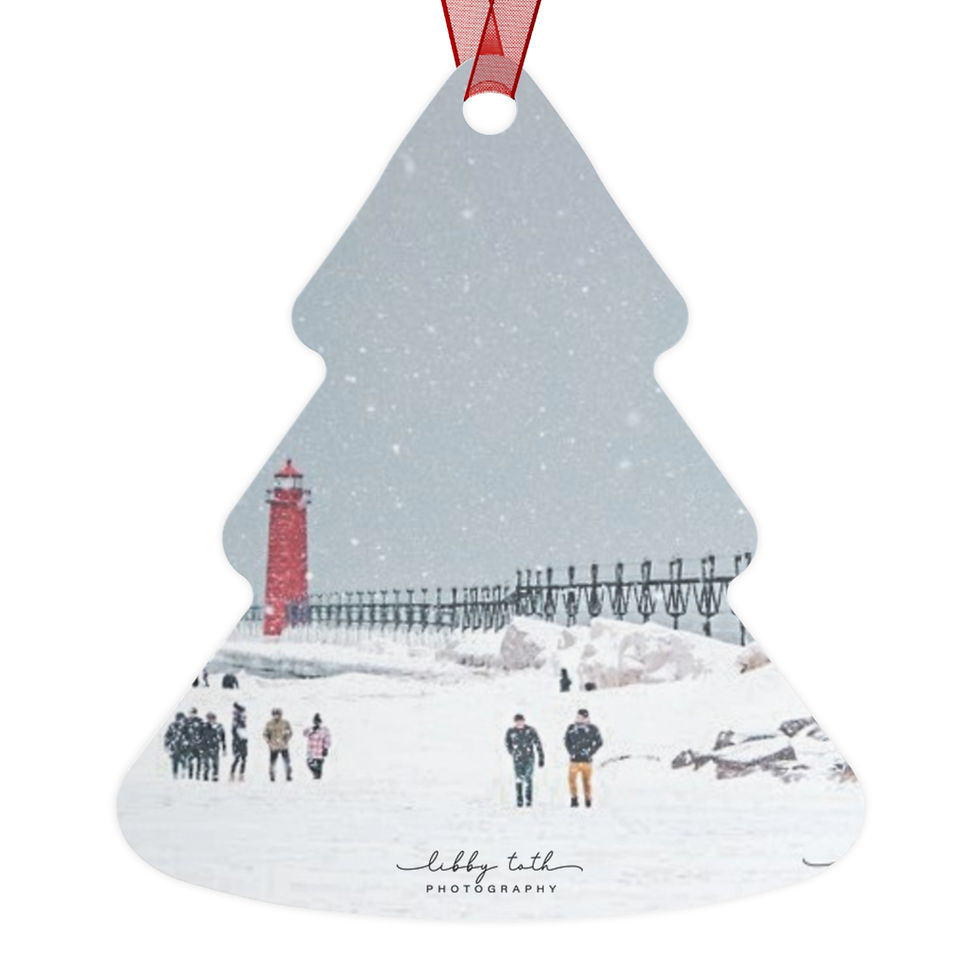Thumbnail: Michigan Winter Wonderland Metal Ornaments