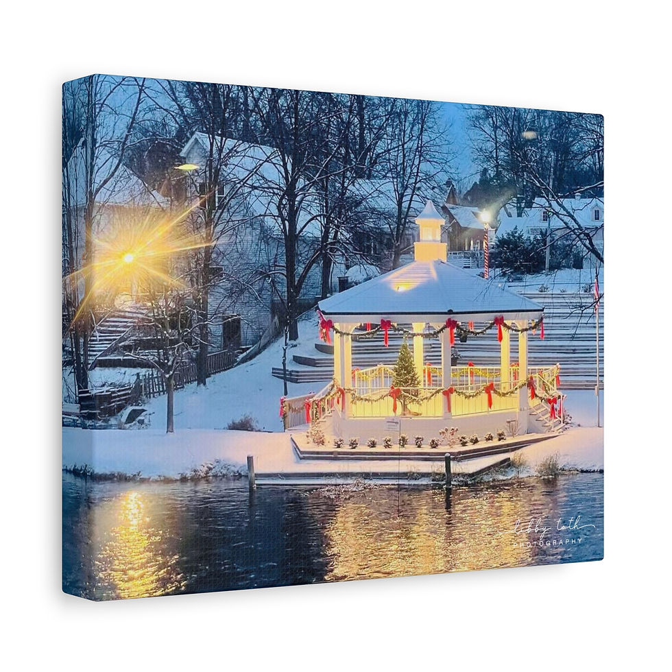 Thumbnail: Winter at the Linden Mill Gazebo Canvas Wall Art