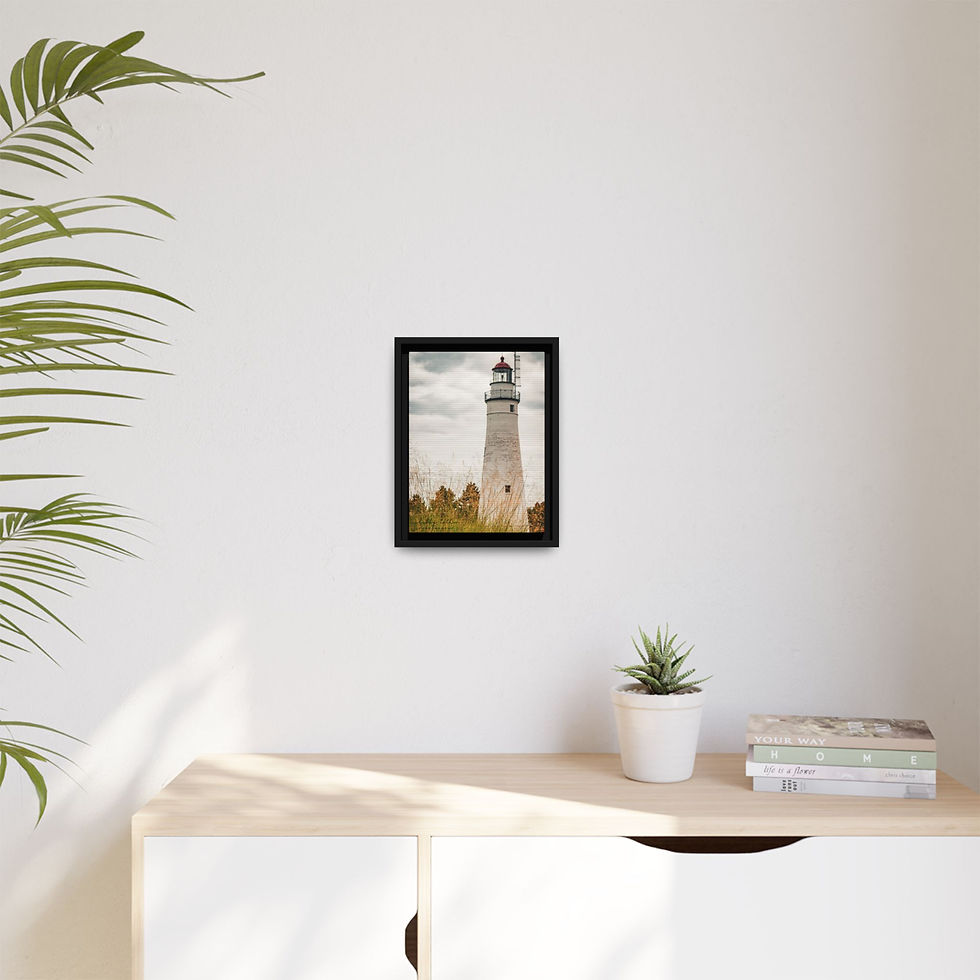 Thumbnail: Port Huron Lighthouse Framed Canvas Wall Art 