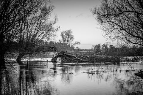 DuncanSoarWiltshire-11.jpg
