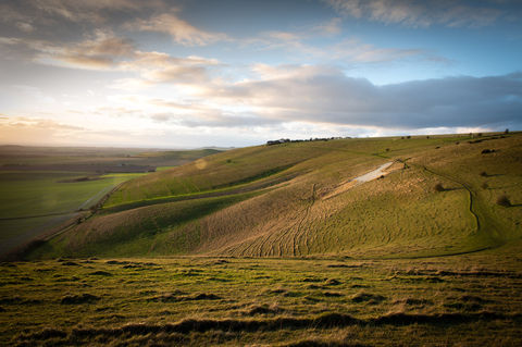 DuncanSoarWiltshire-14.jpg