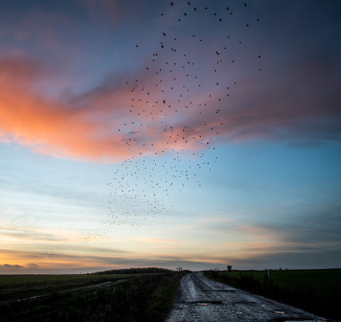 DuncanSoarWiltshire-07.jpg