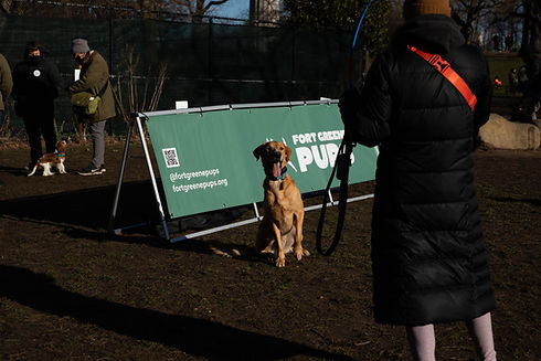 PUPS_PuppyMeet_MAR2023-4880.jpg