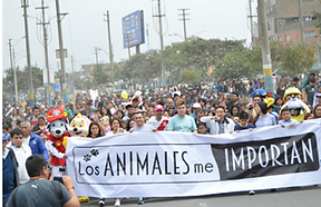 protestas.png