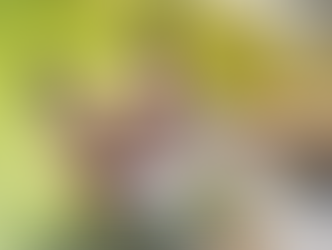 Los beneficios de las aguas termales