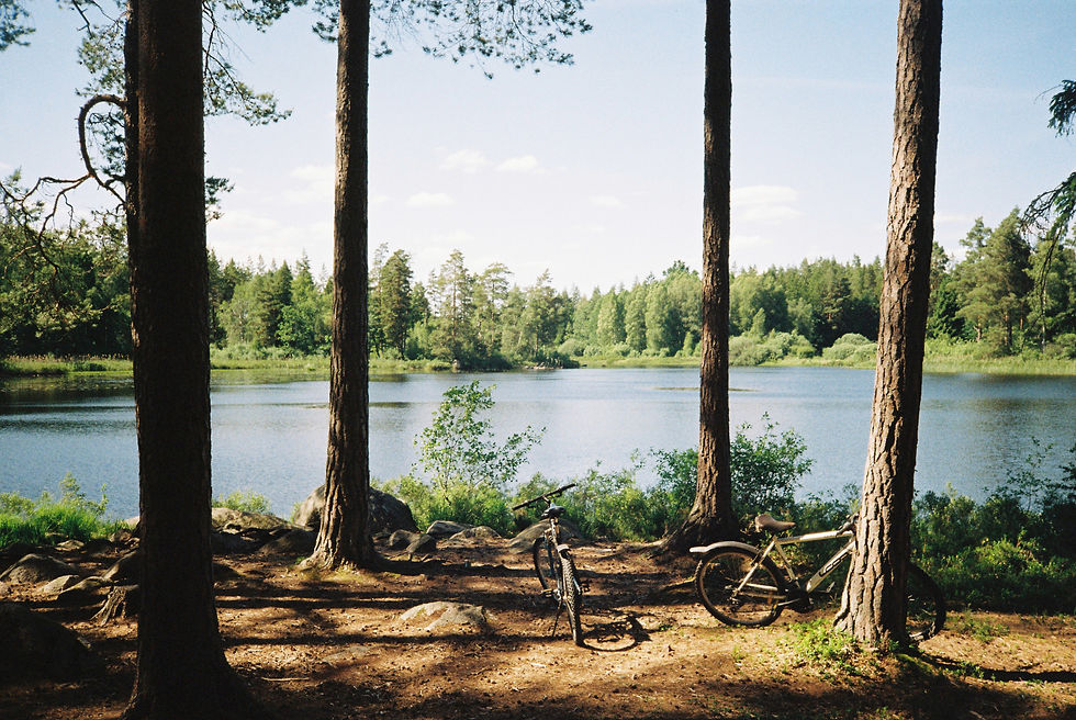 Ricoh FF9-S, Kodak gold 200 35mm