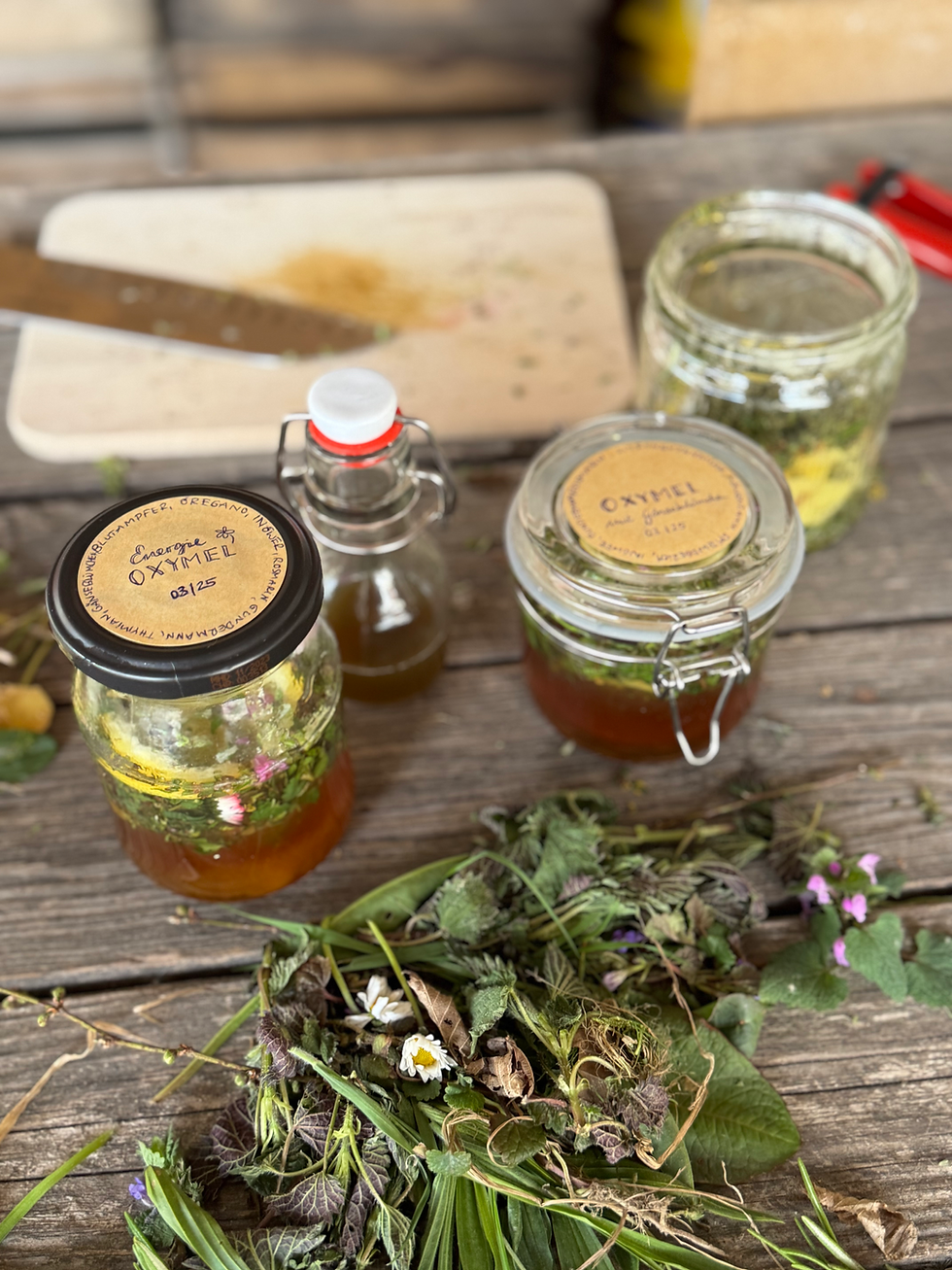 Miniaturbild: Sonnwend Workshop im Café Hygge am Sa, 20. Juni 2026