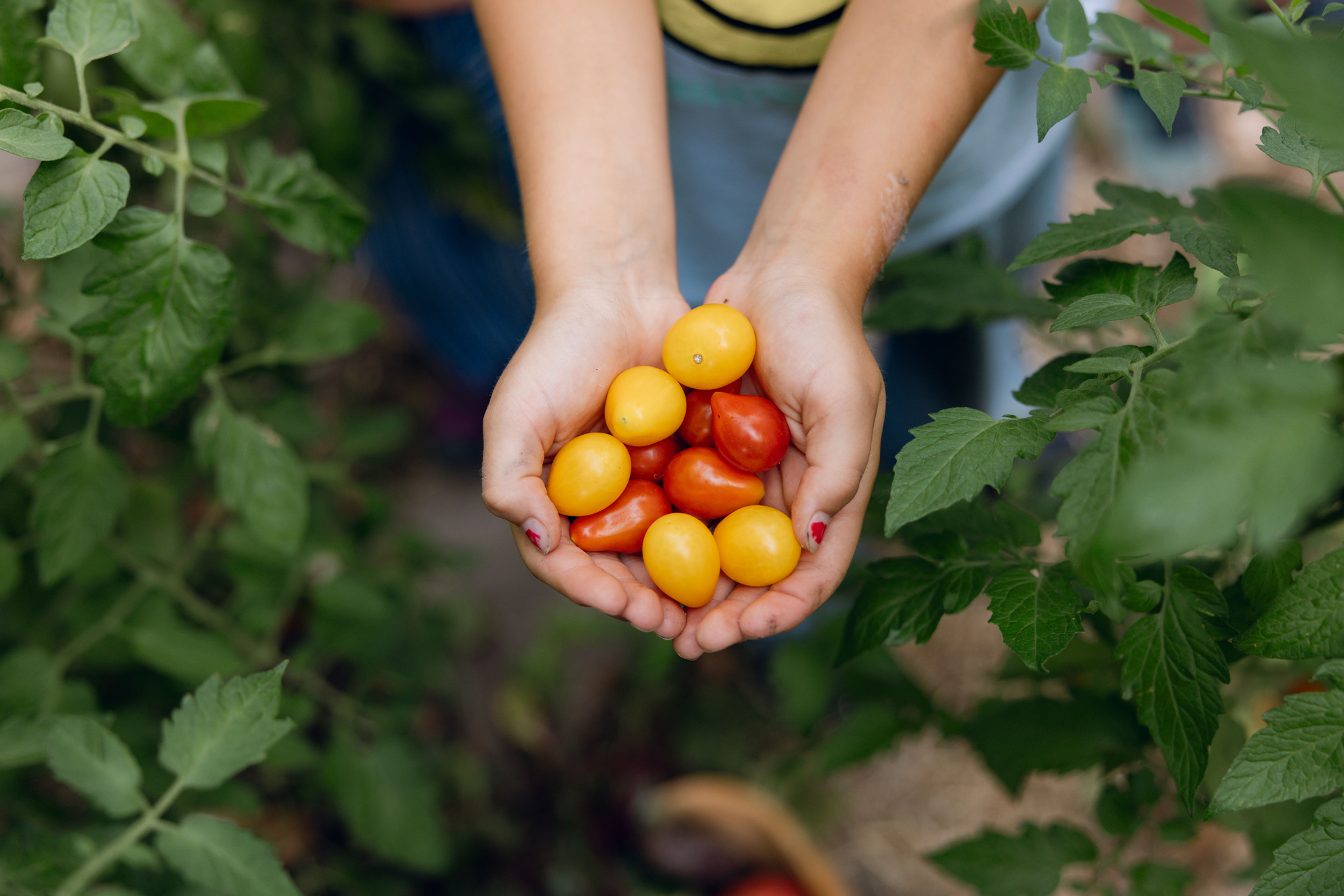 Wichtelgutschein (Ermögliche einem Kind einen Workshopplatz)