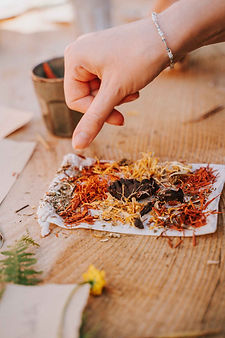 Lass dein Retreat von einem Seed and Sol Workshop zu Heilkräutern oder Heilpflanzen begleiten