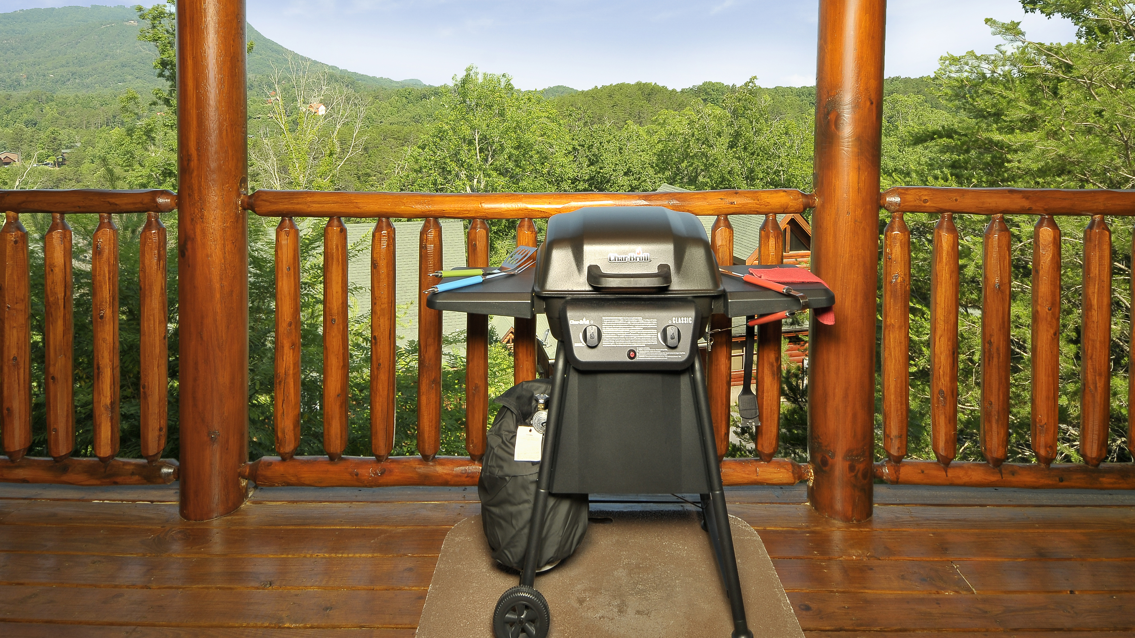 Gas Grill