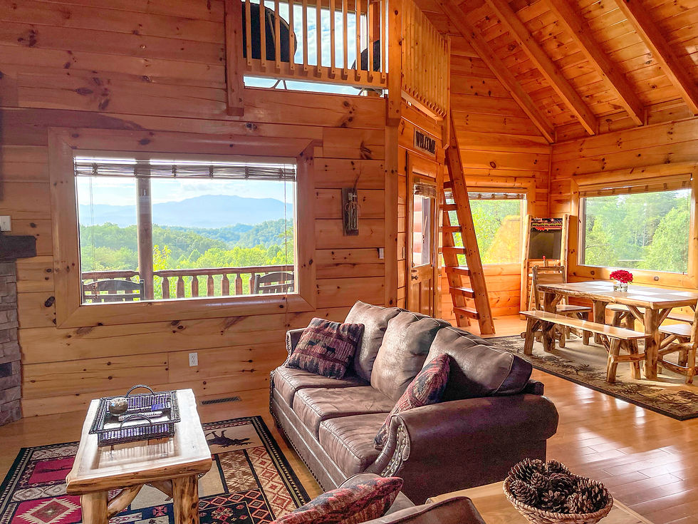 Living and Dining Areas