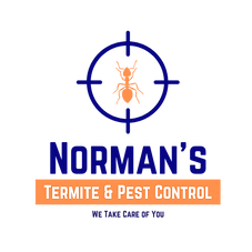 Norman’s new Logo.png