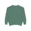 Thumbnail: LSJC Established 1997 Unisex Garment-Dyed Sweatshirt