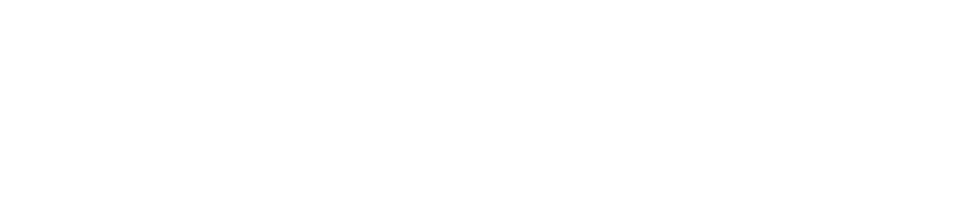 NINO AGENCY