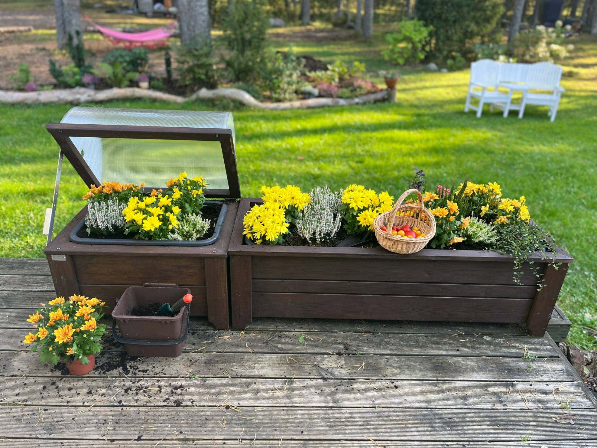 Sügav puidust taimekast köögiviljade ja maitsetaimede jaoks