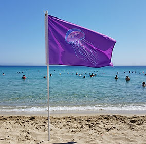france-jellyfish-flag