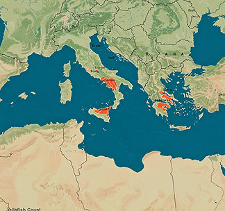 mediterranean-jellyfish-map