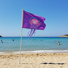 spain-jellyfish-flag