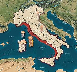 italy-jellyfish-map