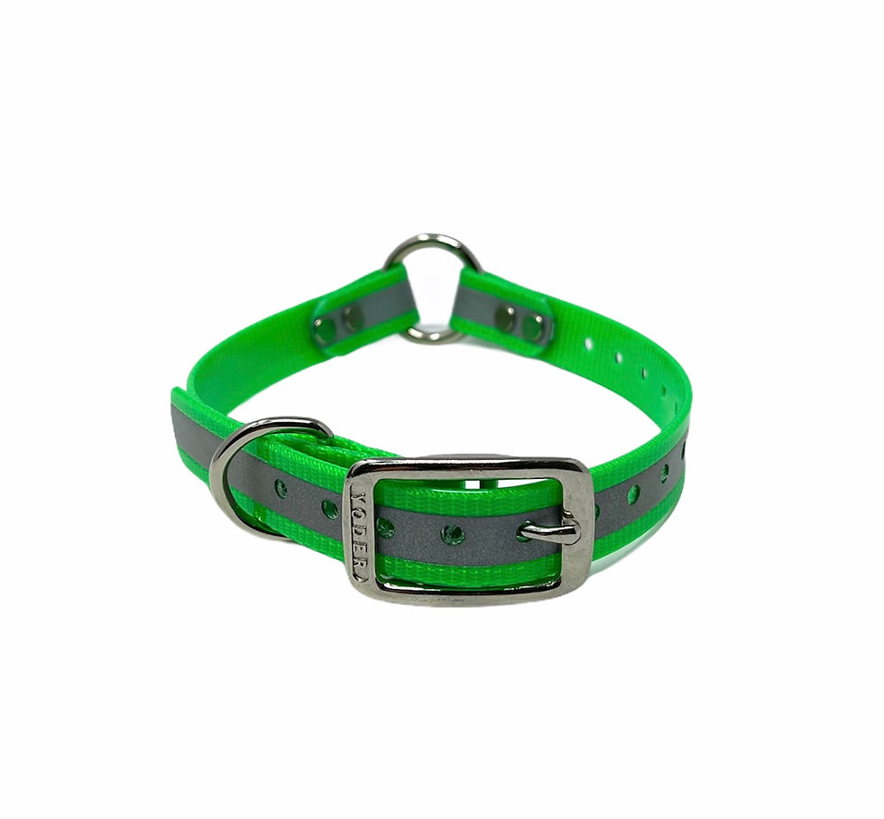 3/4 Reflective Dayglo collars
