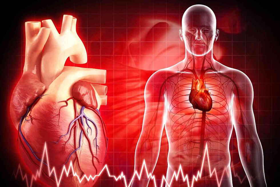 Ginger root benefits