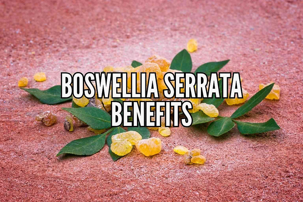 Boswellia serrata benefits