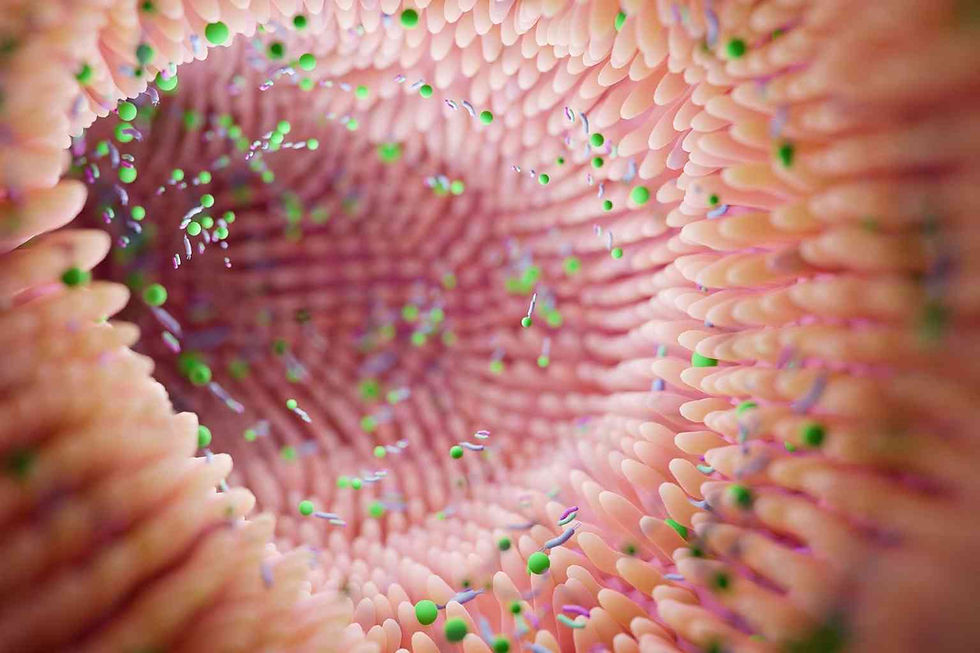 ginger for gut health