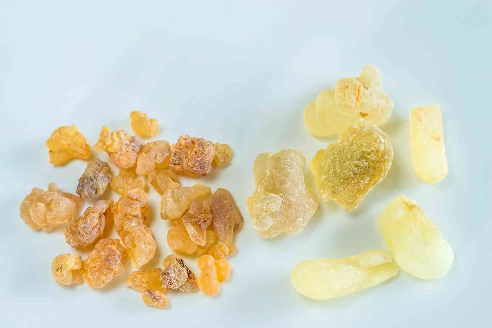 Boswellia serrata and curcumin together