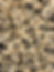 IMG_8896.jpeg