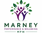 main logo.png