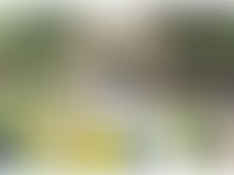 Joe Loves Kelly 06.03.16