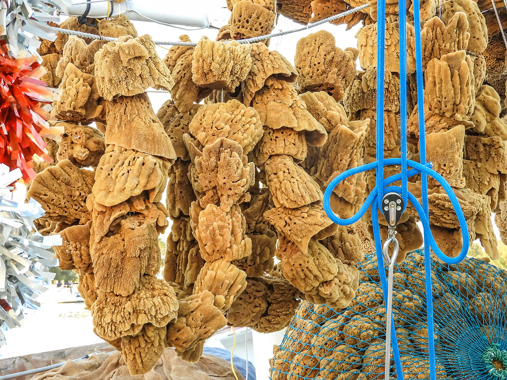 Sponges for sale in Tarpon Springs market
