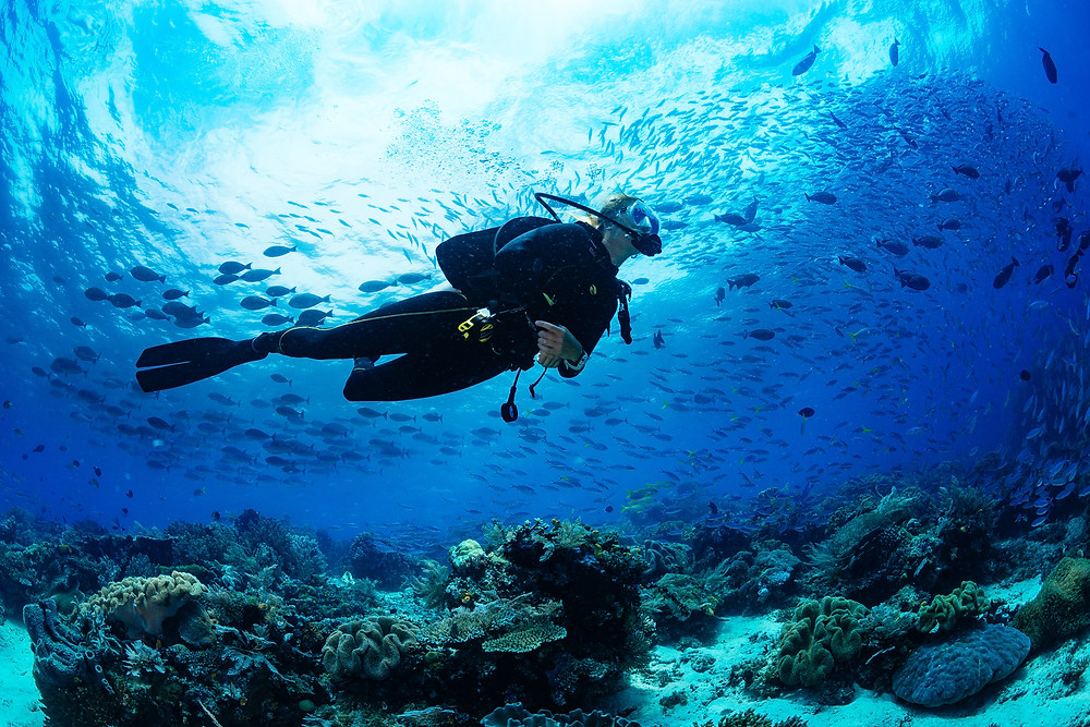 Scuba diver on coral reef