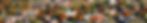 pic_aboutacadia_banner.jpg