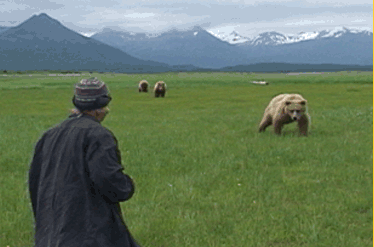 A film still from Werner Herzog's 2005 documentary film, Grizzly Man.