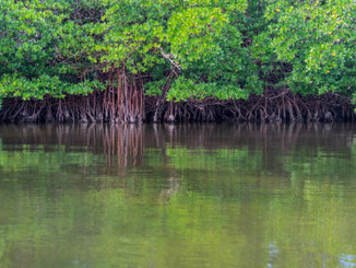 Backcountry Camping Everglades National Park