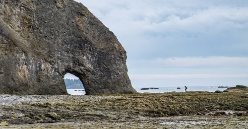Tidepooling at Mora's Hole in Olympic National Park in Washington State.