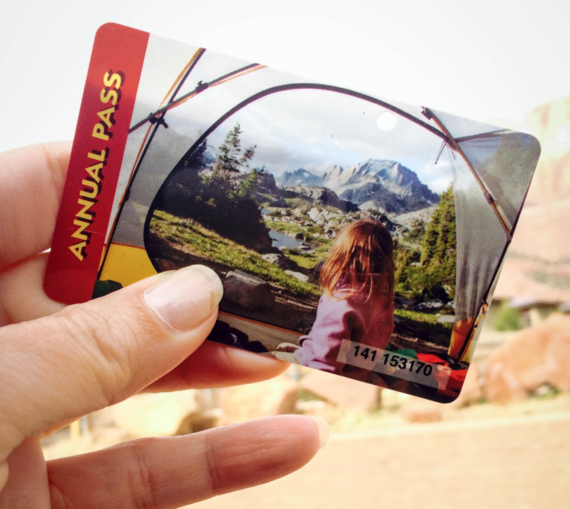2014's Annual National Park Pass. Credit: Stefanie Payne