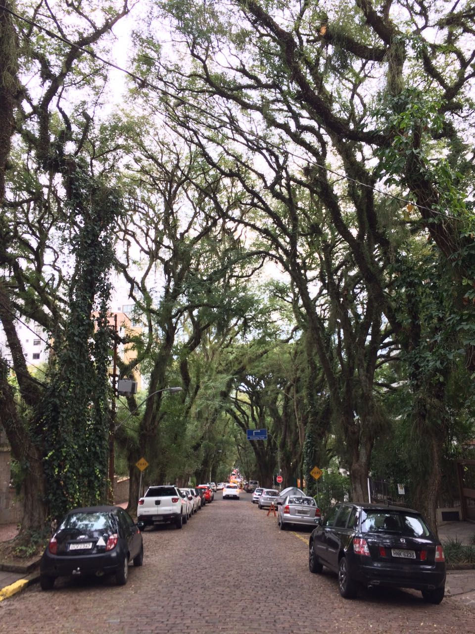 Foto de Vitor Holz