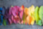 NATÜRLICHE FARBEN