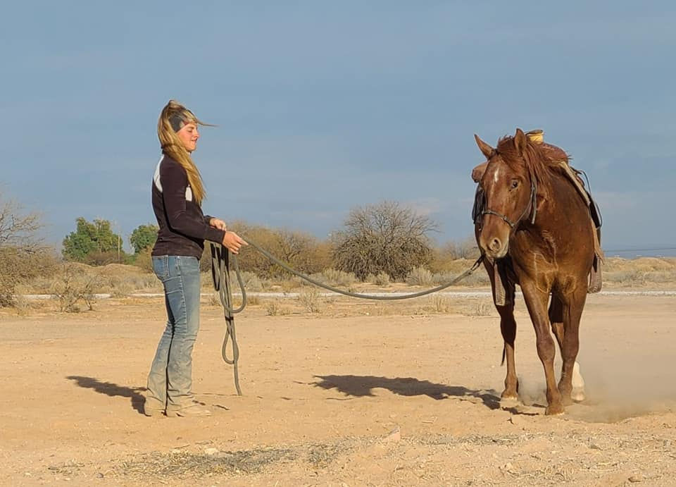 biggy ground work.jpg